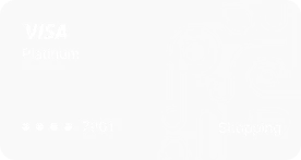 Visa credit card